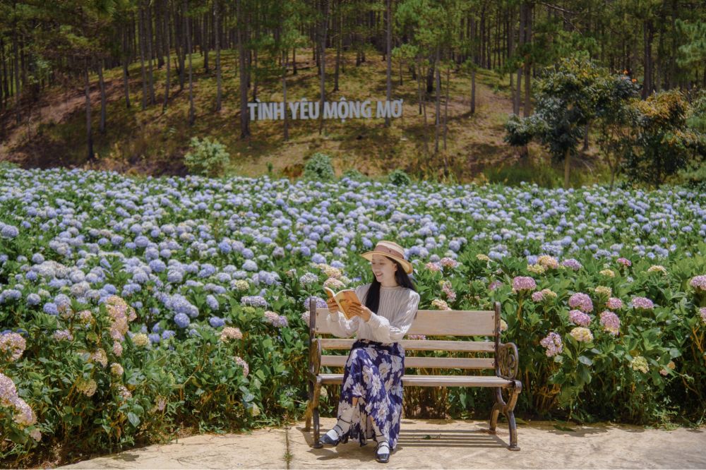 Vẻ đẹp thơ mộng của Vườn hoa cẩm tú cầu làm xiêu lòng bất kỳ ai từng đến đây